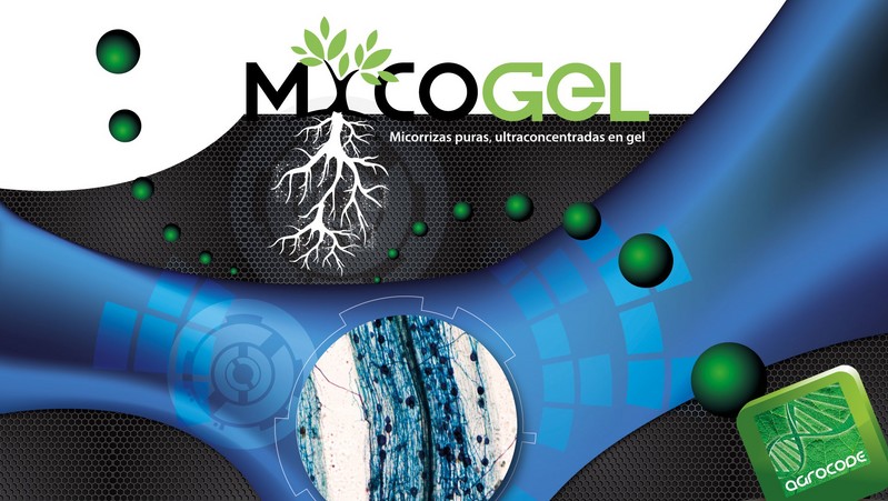 MYCOGEL